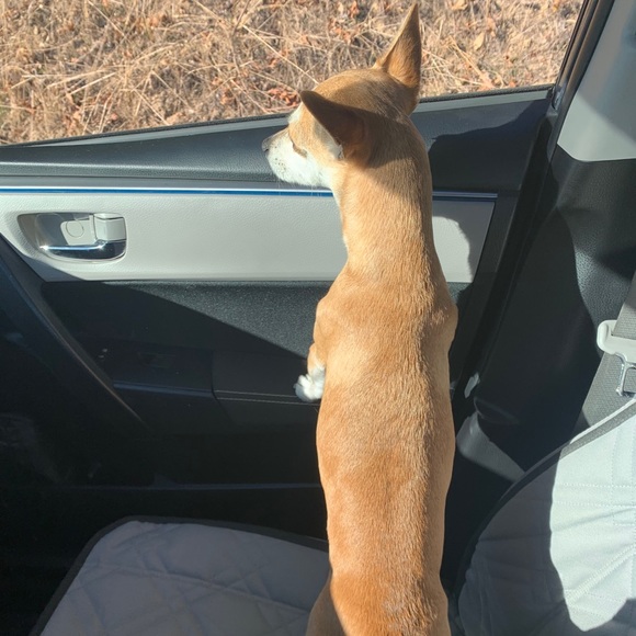 Meet your Posher, Danielle - Picture 1 of 1